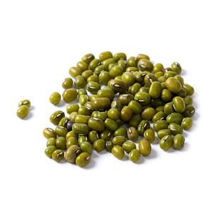 Nouvelle Saison Haricots Verts Indiens Entiers Naturels de Qualité Supérieure Durée de Conservation de 24 Mois Marque Internationale FitTree pour Vente en Gros - Product Image 1