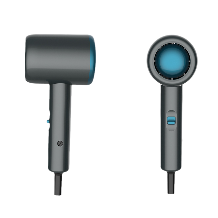 Специальный воздушный коллектор Ryaca, конструкция с низким уровнем шума, ионный вертикальный фен для волос 1000 Вт для малышей и домашних животных