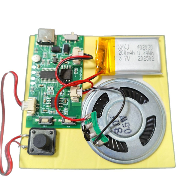 MC150 Record-Play MP3 Sound Module, USB Song-Upgradable Music Chip for Greeting Card