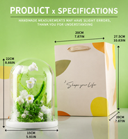 Fleur au crochet tricotée, lys préservé sous cloche en verre, terrarium fait main avec mousse de muguet, cadeau pour la Saint-Valentin, le Nouvel An