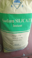 Silicate de sodium BANGZE CAS 1344-09-8 99% Min Poudre blanche à dissolution instantanée Module 2.0-3.4 pour détergents, céramiques, usage industriel