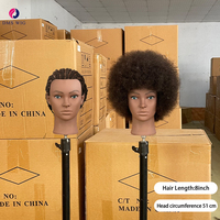 Tête de mannequin afro bouclée pour l'entraînement aux tresses torsadées, aux box braids, aux cornrows et aux tresses sans nœuds, idéale pour les écoles de coiffure