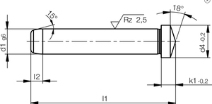 Z016 18 °   Goupille conique angulaire en acier trempé 1.0401 pour guide de moule de moules d'injection - Product Image 3