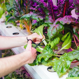 Estante de cultivo hidropónico apilable | Sistema eficiente de ahorro de espacio para cultivo de vegetales en interiores - Product Image 5