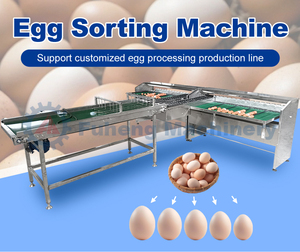 เครื่องคัดแยกไข่ไก่ <span class=keywords><strong>ไข่</strong></span>นกกระทา <span class=keywords><strong>ไข่</strong></span>เป็ด <span class=keywords><strong>ไข่</strong></span>ห่าน ผลิตในจีน พร้อมเครื่องชั่งน้ำหนักแ<span class=keywords><strong>ละ</strong></span>จัดเรียงขนาด <span class=keywords><strong>ราคา</strong></span>สำหรับฟาร์ม - Product Image 2