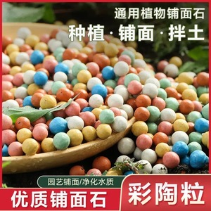 Piedras de arcilla de colores para plantas en macetas, hidroponía, suculentas, jardinería, 500g, absorción media, pH 02 - Product Image 5