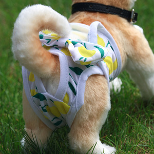 Pantalones menstruales para perros, pantalones sanitarios seguros para Teddy, pantalones menstruales, suministros para el período menstrual de las perras, ropa interior, período - Product Image 3