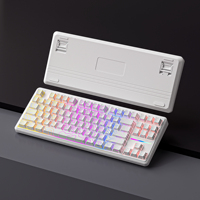 New IP87 USB Type-C Wired Membrane Keyboard Mechanical Feel 87 Keys Rollover RGB Backlit Plastic Gaming Desktop Office Typing