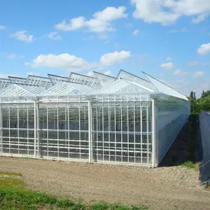 Serre en verre multi-travée agriculture intelligente pas cher serre hydroponique