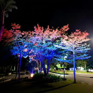 Luz LED de Cabeza Móvil con Control de Píxeles para Efectos de Color Programables en Escenarios e Iluminación Dinámica - Product Image 1