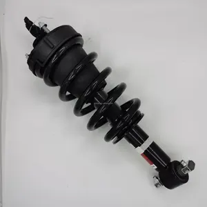 Auto Parts Shock Absorber For Chevrolet 84977478 84176631 84061228 23312167 23464589 23451875 23267007 84061228