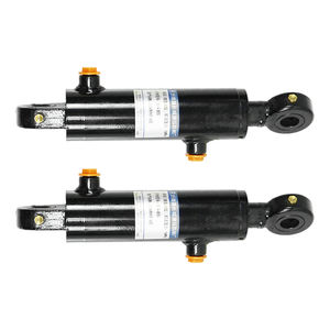 Cilindro Hidráulico de Doble Acción para Remolque Basculante de 63 mm de Diámetro, 16 MPa, Tipo <span class=keywords><strong>Ojo</strong></span> a <span class=keywords><strong>Ojo</strong></span> - Product Image 6