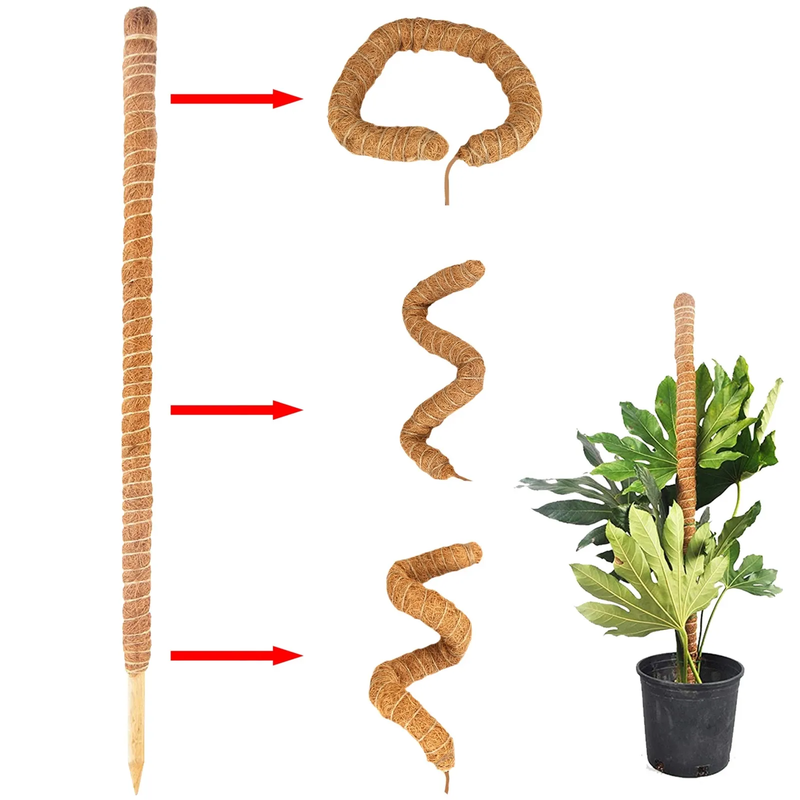 DD889 Bendable Plant Sticks Support for Climbing Growth Monstera Stakes for Indoor Plants Moss Pole for Plant