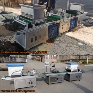 Máquina <span class=keywords><strong>de</strong></span> siembra <span class=keywords><strong>de</strong></span> bandejas agrícolas Máquina automática <span class=keywords><strong>de</strong></span> semillas <span class=keywords><strong>de</strong></span> bandejas <span class=keywords><strong>para</strong></span> plantar semillas en bandeja <span class=keywords><strong>de</strong></span> plántulas - Product Image 4