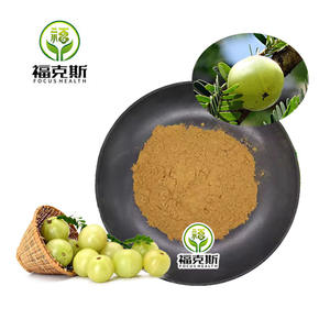 Usine Top Qualité Meilleur <span class=keywords><strong>Amla</strong></span> Fruit Extrait Poudre Organique <span class=keywords><strong>Amla</strong></span> Extrait Poudre pour Cheveux - Product Image 3