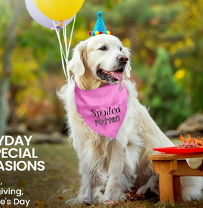 Bandana pour chien ajustable unisexe, mouchoir triangle, bavoir jaune imprimé «Born Run», accessoire de vêtements pour animaux de compagnie lavable et mignon - Product Image 6