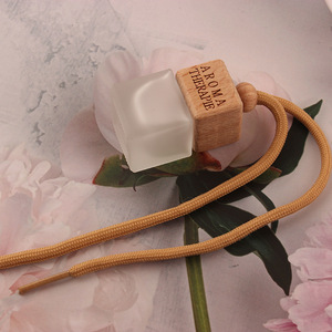 Chai Nước Hoa Làm Mát Không Khí Trong Xe Hơi Rỗng 8Ml Sang Trọng Chai Nước Hoa Khuếch Tán Ô Tô Treo Kính Mờ - Product Image 3