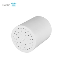 Filtre à eau de douche chromé à 10 étages avec charbon actif 2 cartouches pour usage domestique pour la filtration de la douche