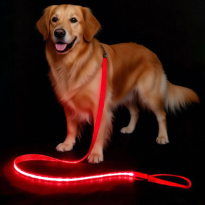 Collier lumineux LED rechargeable personnalisé pour chien, idéal pour les promenades nocturnes, <span class=keywords><strong>avec</strong></span> support de moule <span class=keywords><strong>privé</strong></span> – Fabrication OEM/ODM - Product Image 1