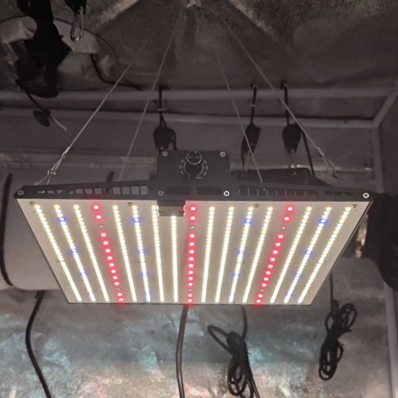LED Quantum-Board Light 120W for Indoor Grow Tent Plant Light