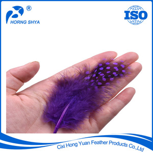 Nhuộm nhuộm nhiều màu sắc khác nhau HP-2 lông chim guinea đầy màu sắc tự nhiên - Product Image 5