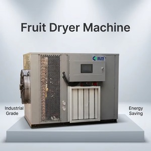 Machine de séchage de fruits à pompe à chaleur à technologie <span class=keywords><strong>verte</strong></span>, économie d'énergie pour les usines - Product Image 1