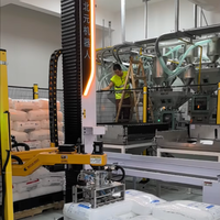 Ouvre-sacs robotisé pour poudre/Sciure de bois, Bras robotisé, 25-100 kg/sac, 100-120 sacs/h, Servo-moteur, Guidé par vision, Option anti-explosion