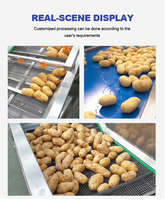 Nouvelle machine à hacher automatique LTK à haute productivité pour la production de chips de fruits et de pommes de terre et de frites