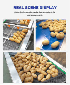 Nueva Máquina Cortadora de Papas Automática de Alta Productividad LTK para la Producción de Papas Fritas y Línea de Producción de Papas a la Francesa - Product Image 4