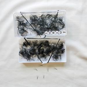 ขนตาคาเมลเลียแบบพรีเมี่ยมสำหรับ8D ขนตาขยายขนาด8มม. 10มม. 12มม. แคชเมียร์แบบแบนสีดำ - Product Image 2