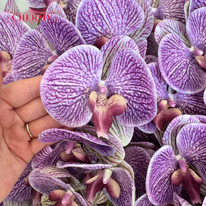 <span class=keywords><strong>Fleur</strong></span> artificielle d'orchidée violette de haute qualité DC180, toucher réaliste, pour centre de table de mariage et décoration intérieure - Product Image 5