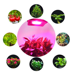Les systèmes de serre hydroponiques <span class=keywords><strong>Led</strong></span> élèvent la <span class=keywords><strong>lampe</strong></span> AC 110V 220V 50w 100W 150W plantes d'intérieur serre poussent la lumière <span class=keywords><strong>LED</strong></span> jardin - Product Image 3