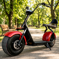 Scooter électrique pour adultes certifié CE, pneus larges, Citycoco, siège double coussin, étanche, 1000W/2000W, 20AH, cyclomoteur
