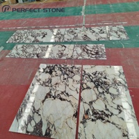 PerfectStone Luxuriöser Langlebiger Calacatta Viola Marmor für Innenböden, Wände und Bauprojekte