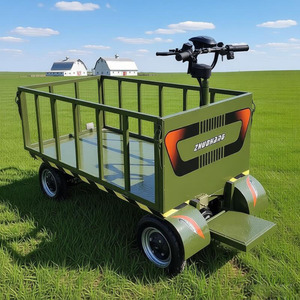 Carros de <span class=keywords><strong>Transporte</strong></span> de Plataforma de Cuatro Ruedas de Metal Resistentes con Batería, Capacidad de <span class=keywords><strong>Carga</strong></span> de 1000 kg, OEM Disponible, Gran Éxito de Ventas en EE. UU. - Product Image 6