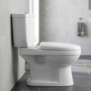 โถสุขภัณฑ์เซรามิกแบบสองชิ้นทรงอังกฤษ รุ่น Aqua พร้อมระบบ P-Trap แบบ Dual Flush Washdown ติดตั้งบนพื้น - Product Image 6