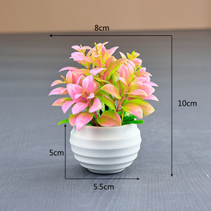 Huaien all'ingrosso piante grasse artificiali e piante in vasi di plastica-Mini Bonsai creativo per decorazioni scrivania da ufficio - Product Image 3