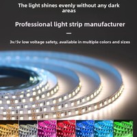 Meilleure Qualité, Vente Directe Usine, Bande LED PVC CE Rohs IP20 pour Aménagement Paysager, Ra80 CRI DC24V, Garantie 3 Ans, Blanc Chaud