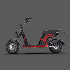 EEC-patinete eléctrico para adulto, 3000W, fábrica citycoco, batería de 60v, bicicleta eléctrica