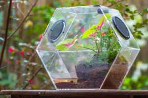 Grand <span class=keywords><strong>terrarium</strong></span> en acrylique fait à la main avec évents en maille Cage en acrylique pour insectes. - Product Image 6