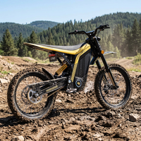 Moto électrique tout-terrain 79BIKE LYNX, vitesse maximale 90 km/h, puissance de pointe 12 kW, batterie lithium 72V40Ah.