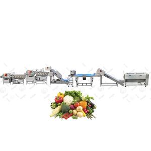 Ligne de traitement de l'ampoule pour l'équipement de lavage des fruits et légumes - Product Image 4