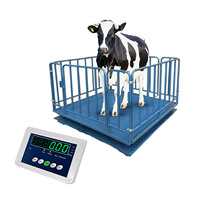 Báscula para Animales de 500kg-3000kg con Indicador B19 RS232 para Uso Agrícola OEM/ODM, Acero Resistente, Precisión de 100g