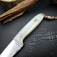 Couteau tactique de survie à manche en acrylique personnalisable OEM, lame fixe en acier inoxydable 5Cr15MoV pour la chasse