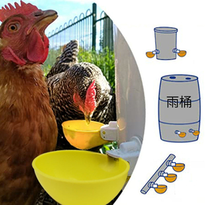 Kit d'abreuvoirs automatiques DD3022 pour volailles, poulets, canards, oies, lapins et oiseaux, avec tasses d'abreuvement adaptées - Product Image 6