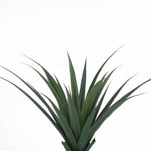 Dracena <span class=keywords><strong>draco</strong></span> artificial <span class=keywords><strong>de</strong></span> 75cm <span class=keywords><strong>de</strong></span> alto, planta con maceta para decoración interior - Product Image 3
