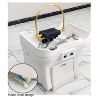 Chaise de lavage moderne pour hôtel, salon et spa, neuve, avec réservoir d'eau