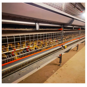 Cage <span class=keywords><strong>de</strong></span> <span class=keywords><strong>canard</strong></span> éleveur automatique <span class=keywords><strong>de</strong></span> ferme cage <span class=keywords><strong>de</strong></span> <span class=keywords><strong>canard</strong></span> à oeufs pour <span class=keywords><strong>canard</strong></span> pondeuse - Product Image 4
