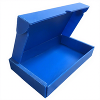 Boîte de transport pliable en PP ondulé personnalisée, économique, en plastique, type avion, réutilisable pour l'expédition