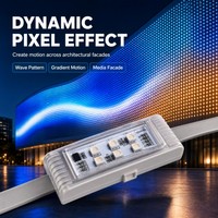 Luces LED de Punto RGB RGBW, Negras y Grises, Módulo LED Impermeable IP67, Fuente de Luz Puntual para Exteriores, Pixel LED, 6 Piezas